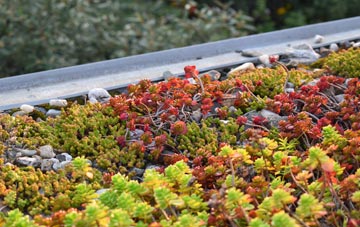the cost of Lode green roof installation