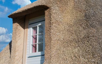 Lode thatch roof disadvantages