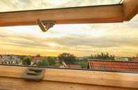rated Lode roof window companies